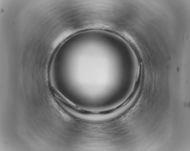 X0000089371230200706151150