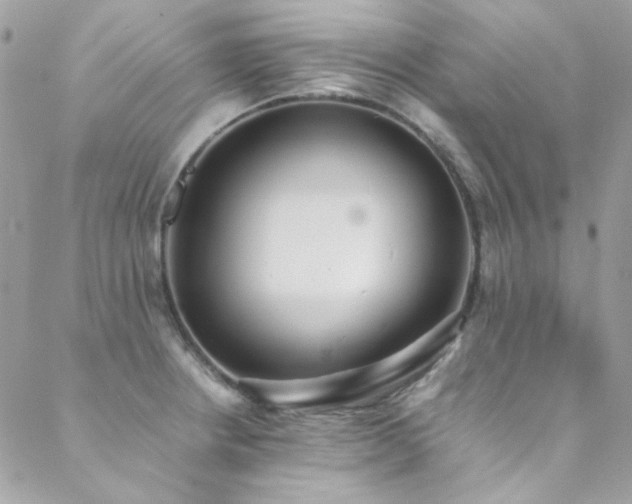 X0000089371234200706151150