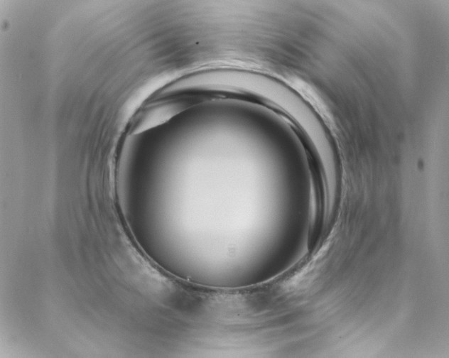 X0000089371238200706151150