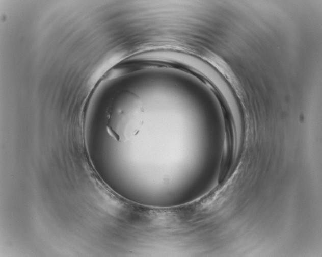 X0000089371242200706151151