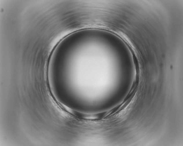 X0000089371246200706151151