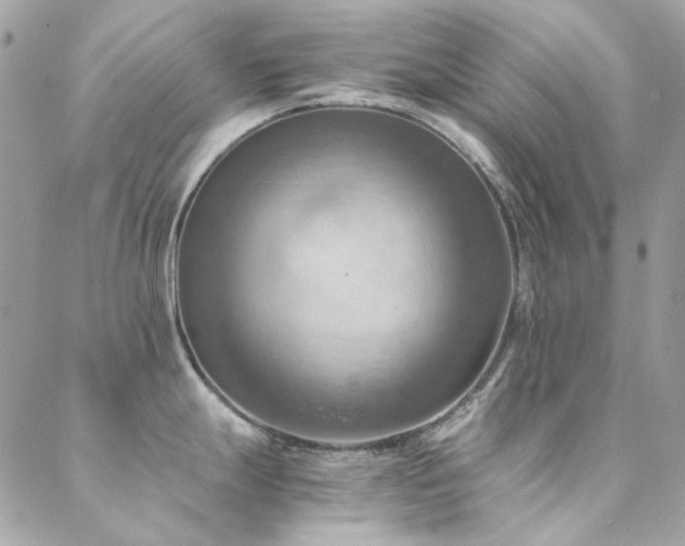 X0000089371247200706151151