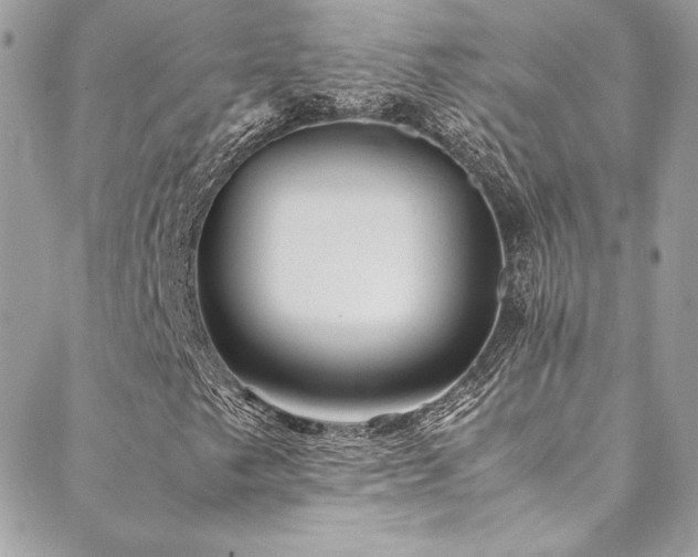 X0000089371249200706151150