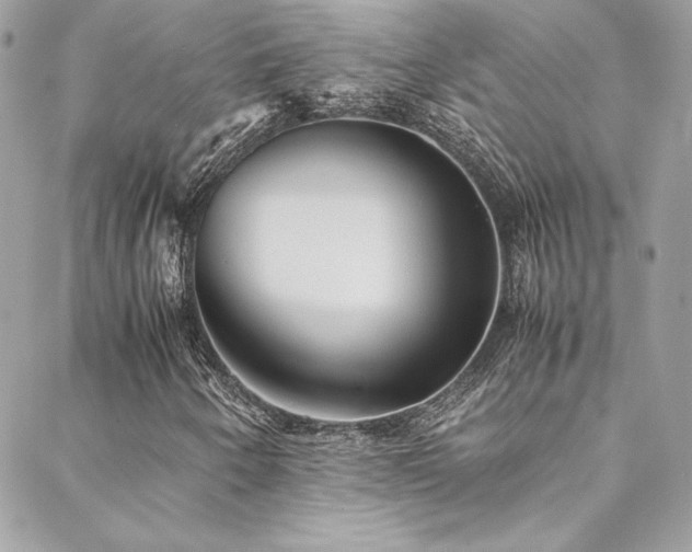 X0000089371250200706151150