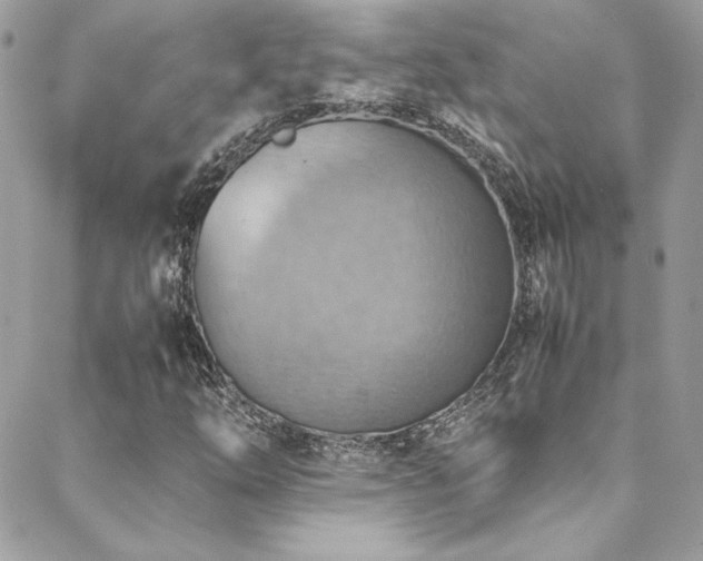 X0000089371254200706151150