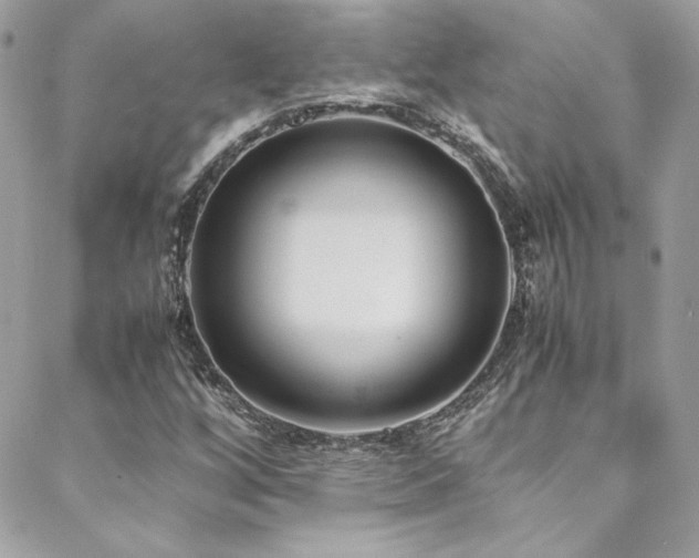 X0000089371256200706151150