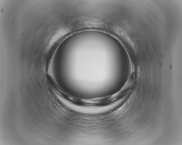 X0000089371261200706151150