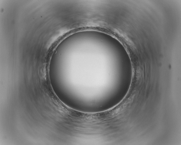 X0000089371262200706151150