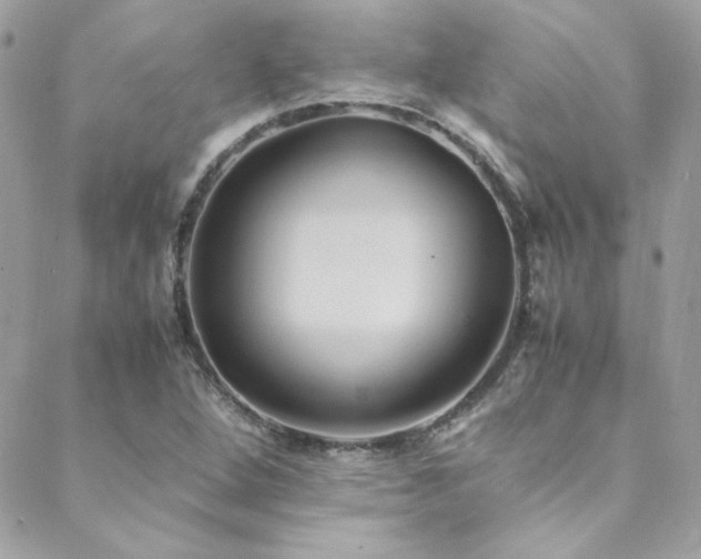 X0000089371264200706151150