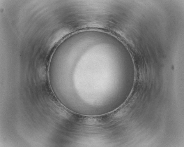 X0000089371266200706151150