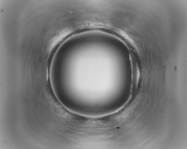 X0000089371269200706151150