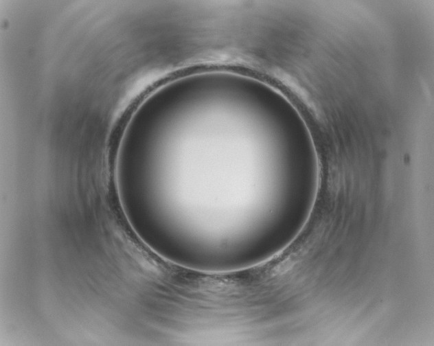 X0000089371270200706151150