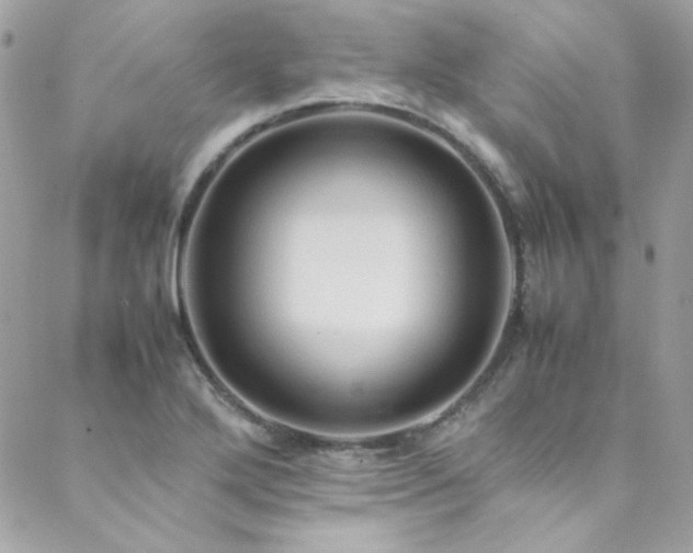 X0000089371272200706151149