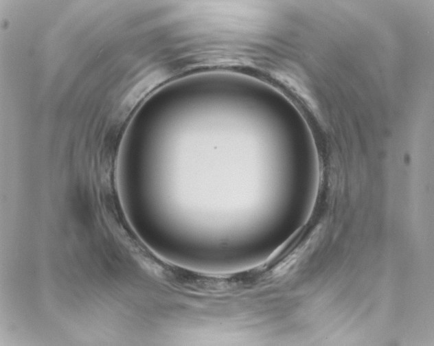 X0000089371273200706151149