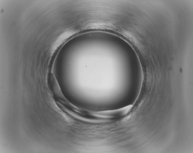 X0000089371277200706151149