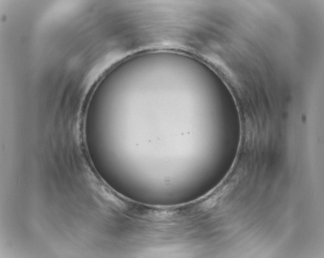 X0000089371278200706151149