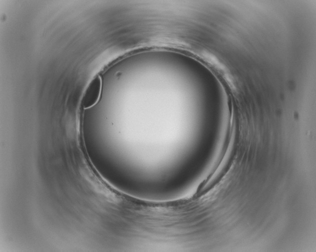 X0000089371280200706151149