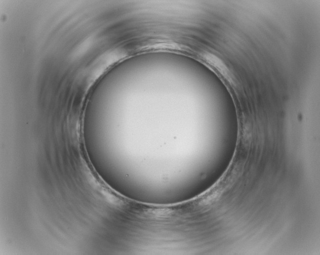 X0000089371282200706151149