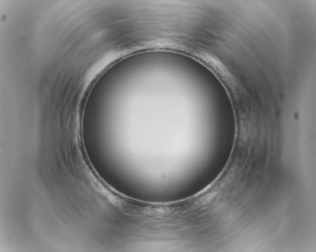 X0000089371286200706151149