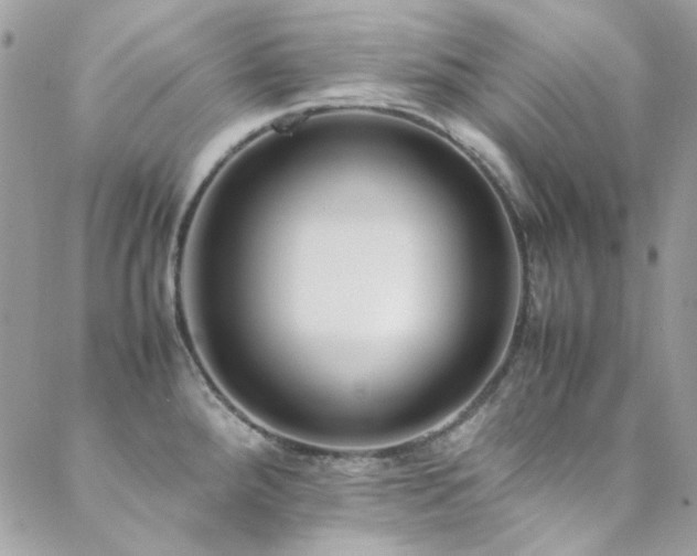 X0000089371288200706151149