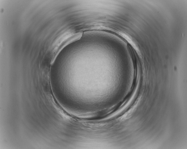 X0000089371289200706151149