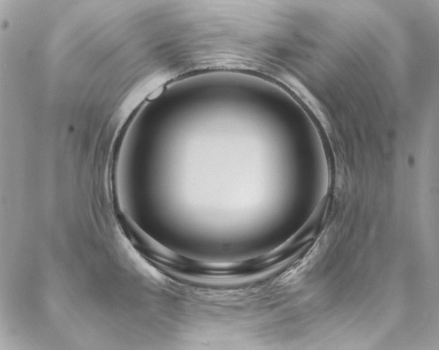 X0000089371293200706151149