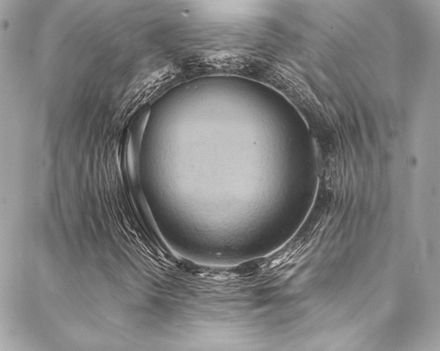 X0000089371298200706151148