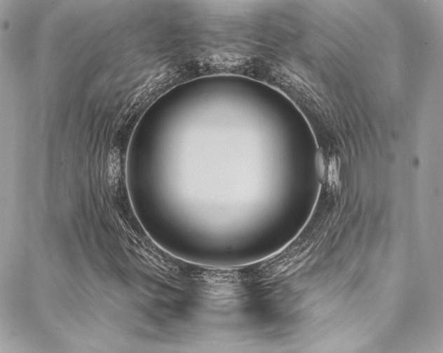 X0000089371299200706151148