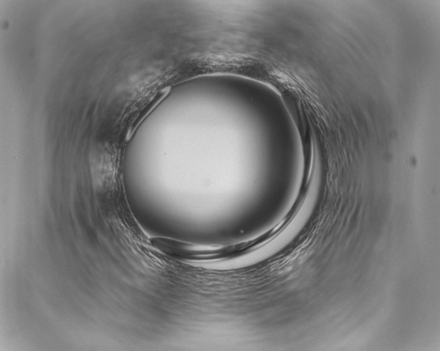 X0000089371300200706151148