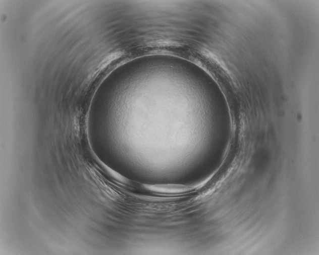X0000089371305200706151148