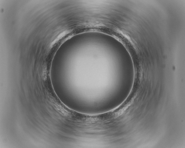 X0000089371306200706151148