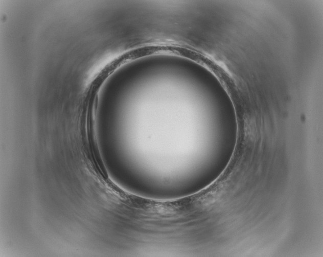 X0000089371311200706151149