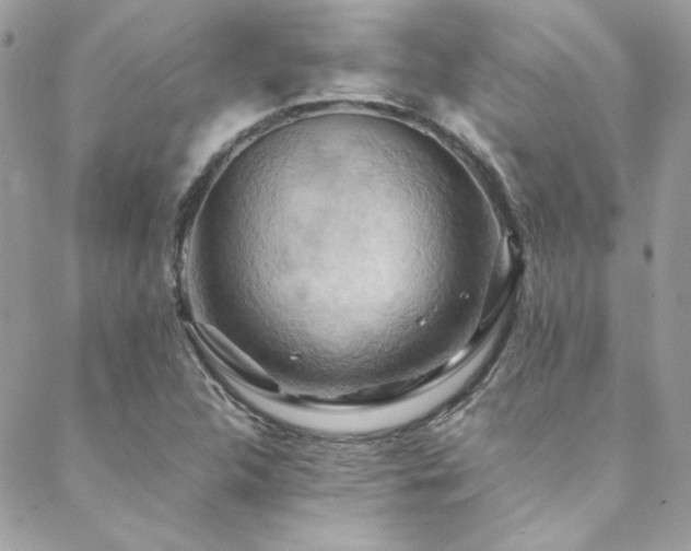 X0000089371312200706151149