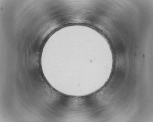 X0000089371314200706151149