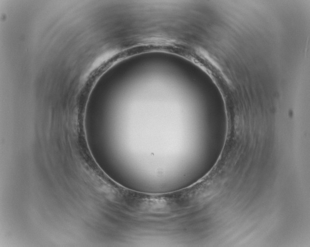 X0000089371315200706151149
