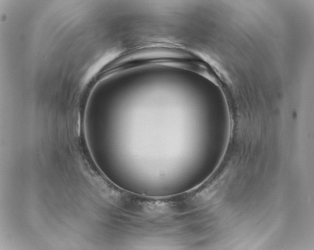 X0000089371317200706151149