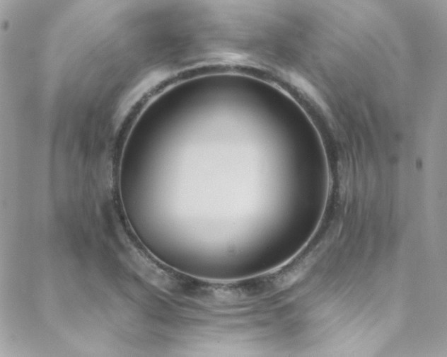 X0000089371318200706151149