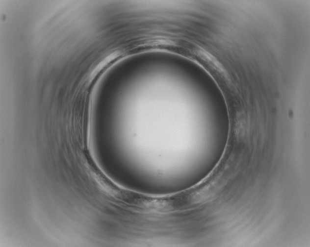 X0000089371321200706151149