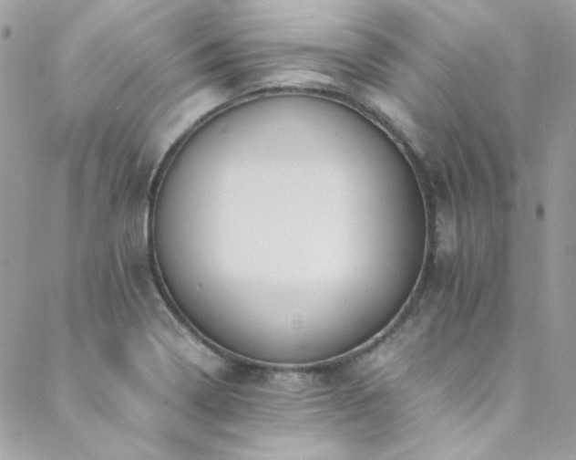 X0000089371322200706151149