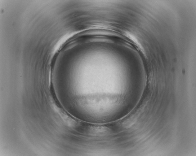 X0000089371323200706151149