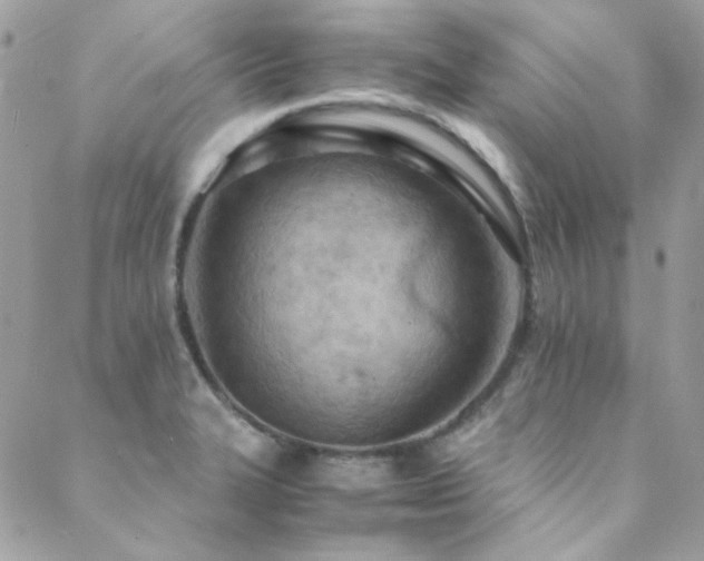 X0000089371327200706151149