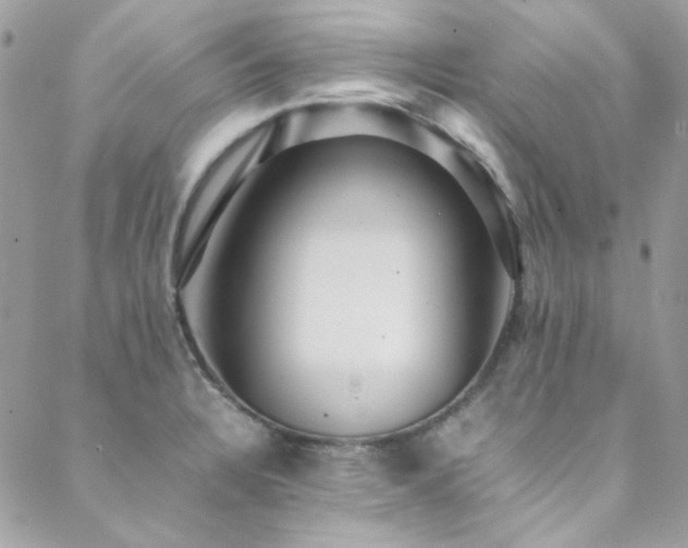 X0000089371328200706151149