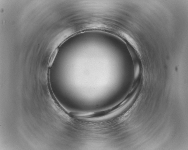 X0000089371330200706151149