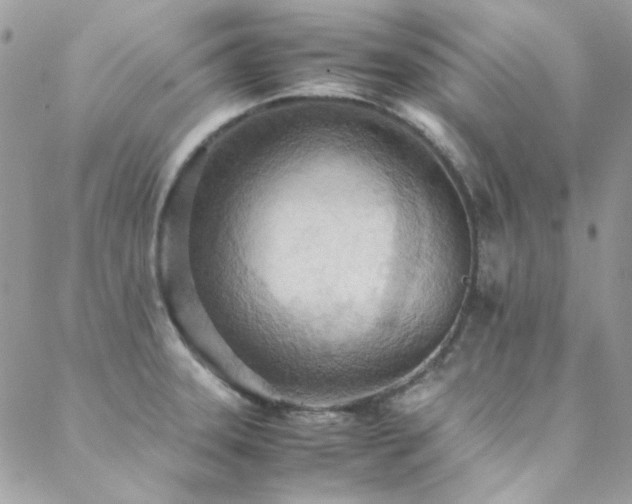 X0000089371331200706151149