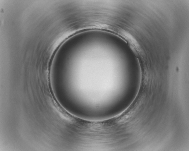 X0000089371332200706151149