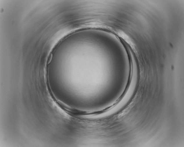 X0000089371334200706151149