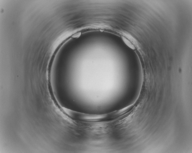 X0000089371335200706151149