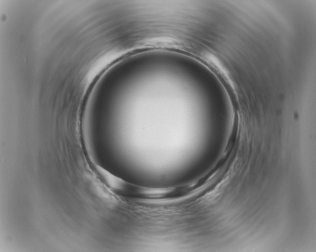 X0000089371336200706151149