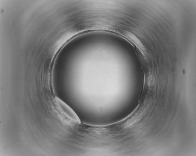 X0000089371340200706151149