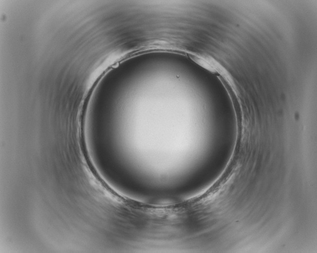 X0000089371341200706151149